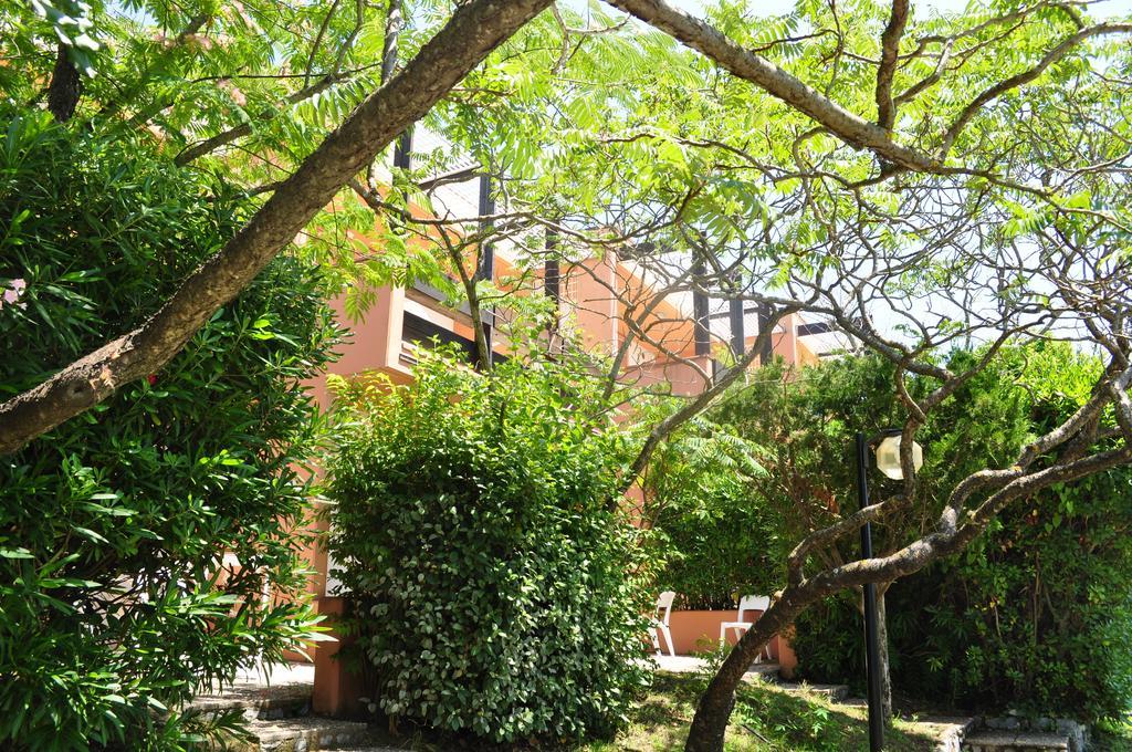 Club Residence Pianetamaratea Santa Caterina  Oda fotoğraf